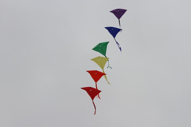 Kite Festival