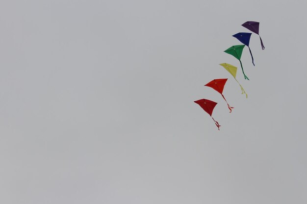 Kite Festival