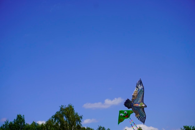 Foto un aquilone vola nel cielo blu