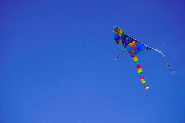 A kite flies in the blue sky