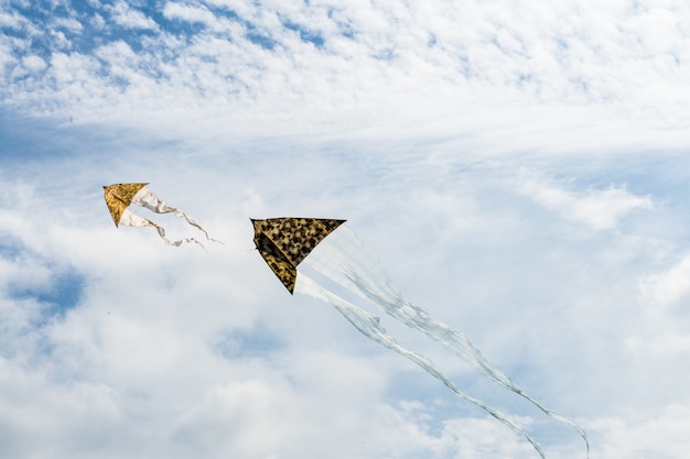 Kite flying in the sky among the clouds