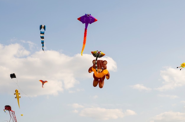 kite flying in the sky