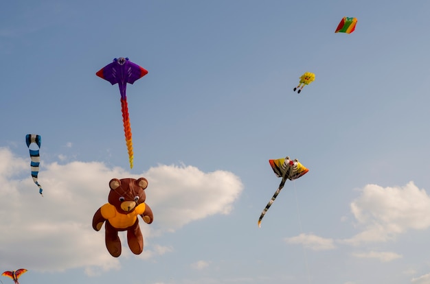 kite flying in the sky