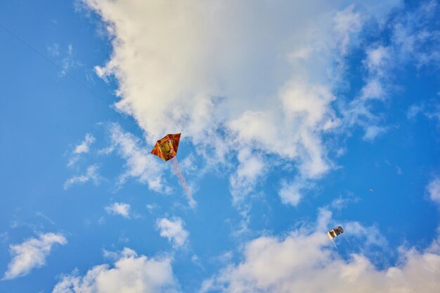 Kite flying in the sky