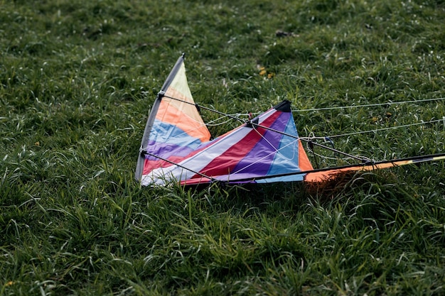 芝生の上の凧