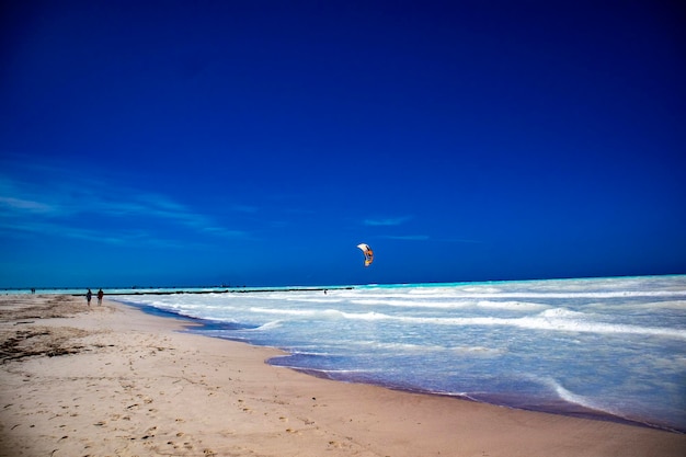 kite surfing on the beach