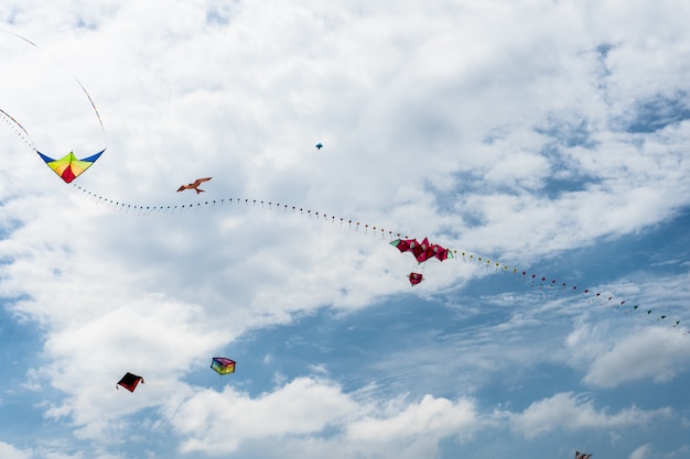 Kites flying in the sky among the clouds.Kite Festival