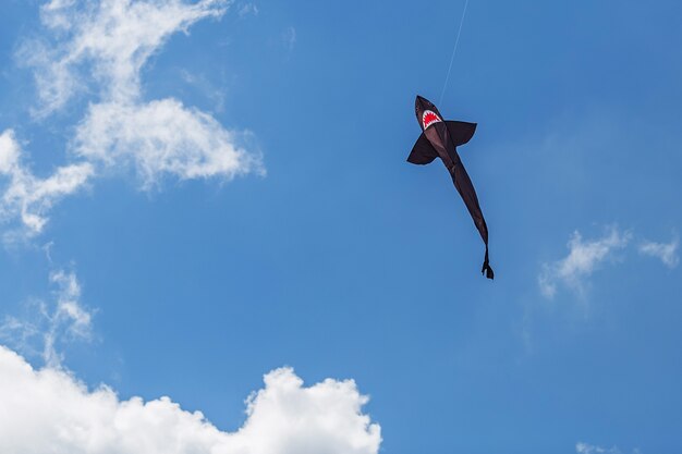 Photo kites of various shapes