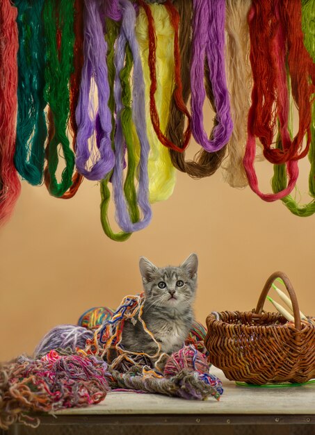 Kitten sitting in basket with ball of yarn