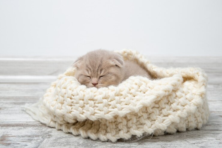 Котенок спит на красивом вязаном пледе.