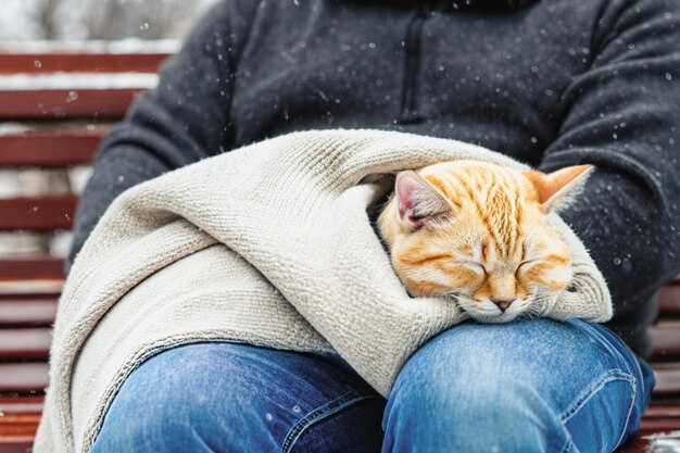 A kitten sleeps in a person's arms A cat sleeps in human arms wrapped in a sweater in a winter park Copy space