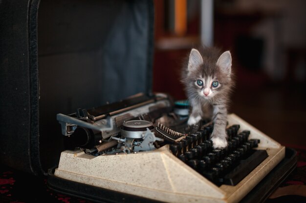 A kitten walking on an old typewriter