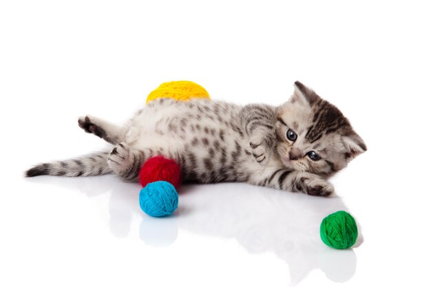 Photo kitten with balls of threads little kitten on white background