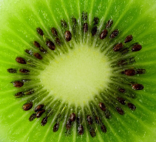 Kiwi Fruit Fresh Background