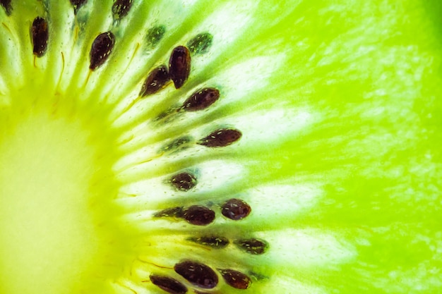 kiwi fruit slices texture b