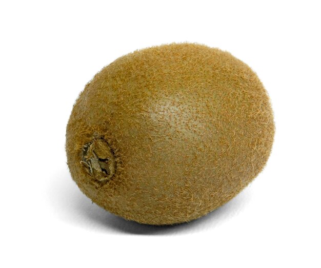 kiwi fruit