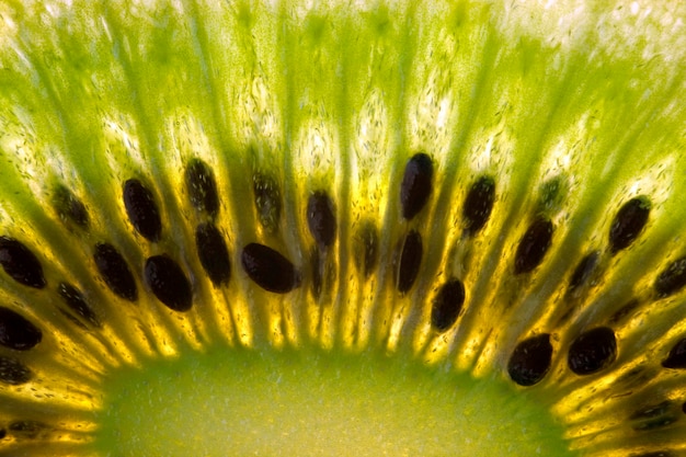 Kiwi Fruit