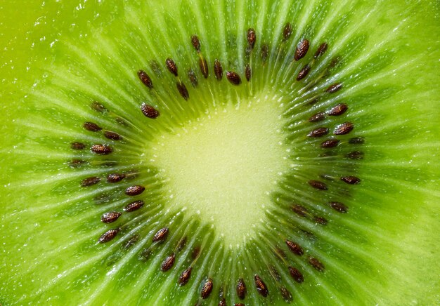 Kiwi Macroslice of kiwi fruit on a full frame horizontal format