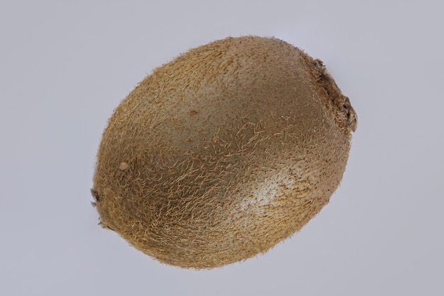 Kiwi tropical fruit on a gray background.