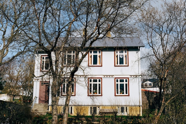 Klassiek blauw huis met twee verdiepingen in Reykjavik, de hoofdstad van de lentebomen van IJsland op de voorgrond