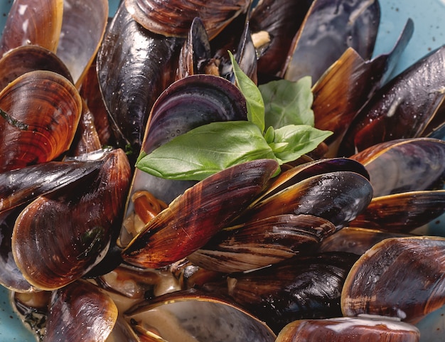 Klassiek gerecht van mediterrane italiaanse keuken