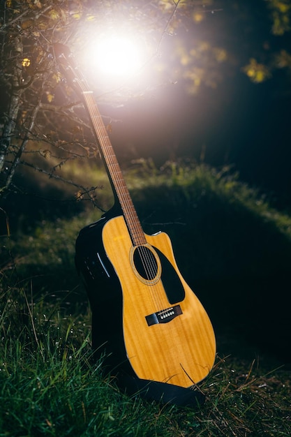 Klassieke gitaar bij gras in bos bij nacht.