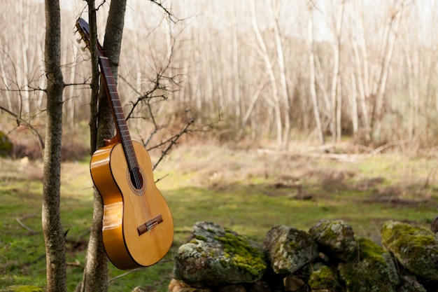 Foto klassieke gitaar opknoping van een boom