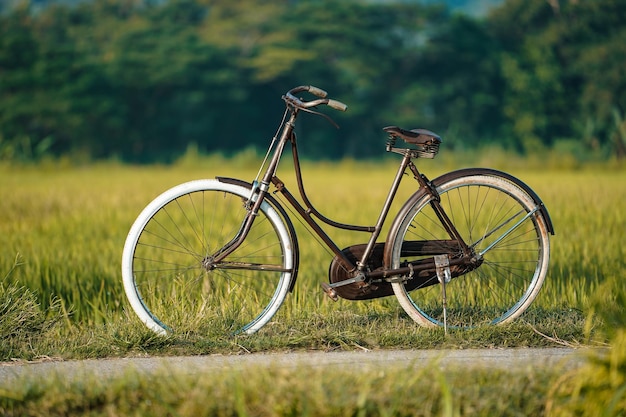 Klassieke onhelfietsen die uitgestald staan op dorpswegen rond de rijstvelden