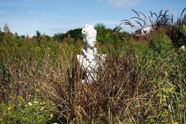 Klassieke retro vintage sculptuur mooie vrouw stenen figuur standbeeld in gras plant boom met tuinieren in de tuin achtertuin buiten van café en restaurant coffeeshop in Nakhon Pathom Thailand