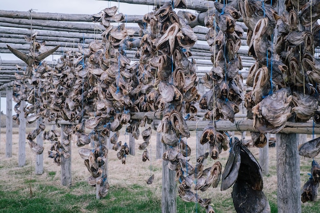 Foto kleding drogen op het veld