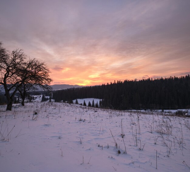 Klein alpendorp en winter besneeuwde bergen in de eerste zonsopgang zonlicht rond Voronenko Karpatische Oekraïne