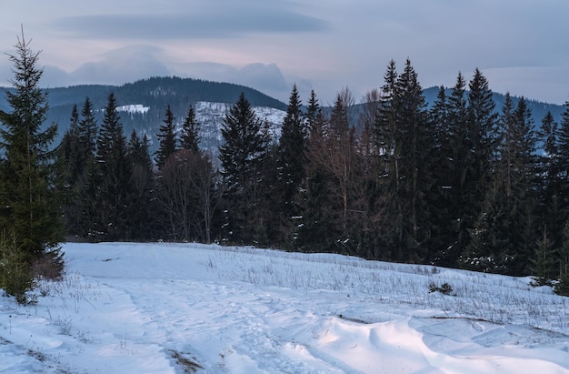 Klein alpendorp en winter besneeuwde bergen in de eerste zonsopgang zonlicht rond Voronenko Karpatische Oekraïne