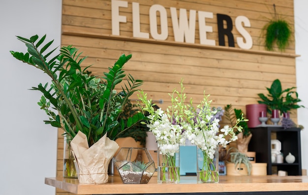Klein bedrijf. Modern bloemenwinkelinterieur. Floral design studio, verkoop van decoraties en arrangementen. Bloemenbezorgservice en verkoop van huisplanten in potten, houten vitrine.