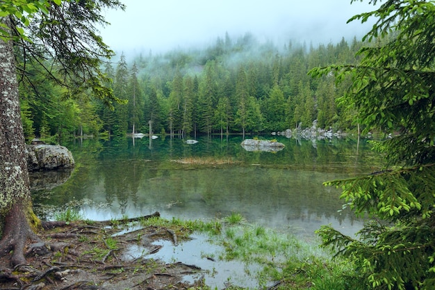 Klein bergbos meer in de Alpen van Frankrijk (mistige de zomerochtend).