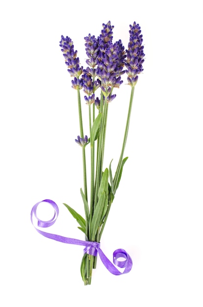 Klein bosje blauwe lavendelbloemen.