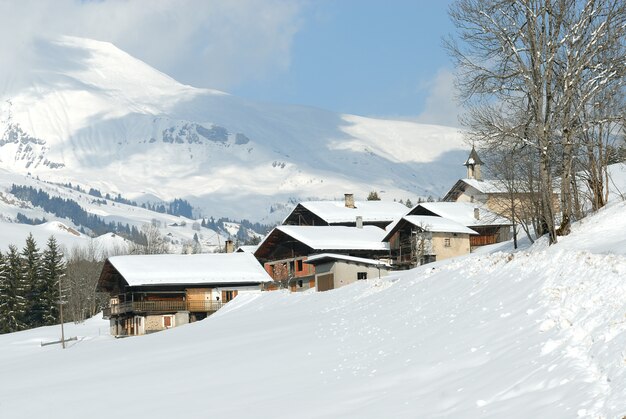 Klein dorpje in de Franse Alpen