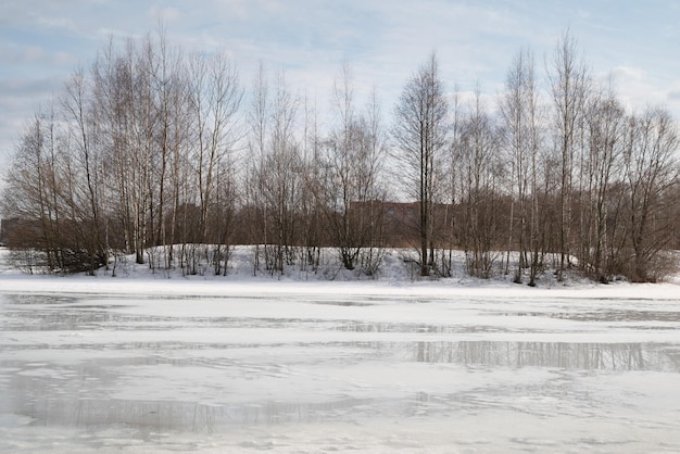 Klein eiland met kale bomen in de verte van het meer bedekt met smeltende sneeuw