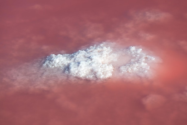 Klein eiland van geneeskrachtig zout stijgt boven het oppervlak van het roze meer Unieke kleur van het meer