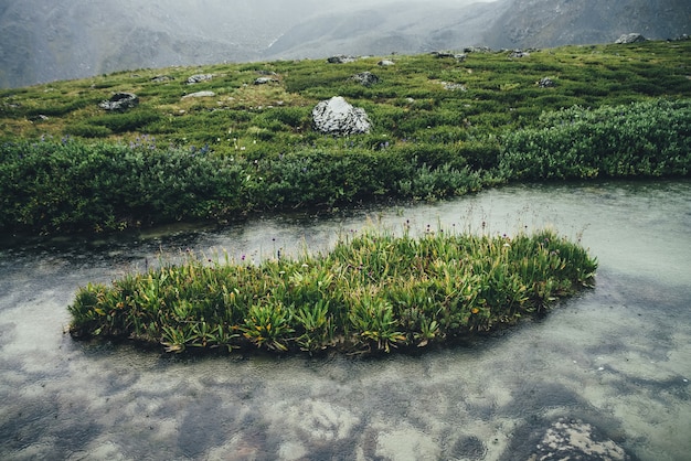 Klein groen eilandje met grassen en bloemen onder kalm water van bergmeer met helder water.