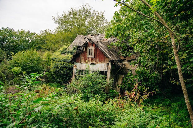 Klein huis begroeid met gras en struiken Foto van hoge kwaliteit