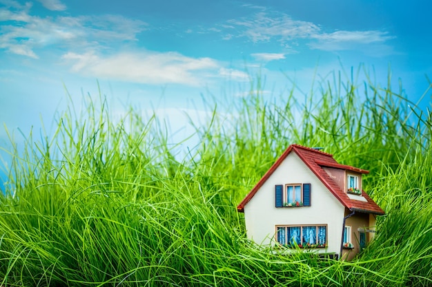 Klein huis op het groene gras