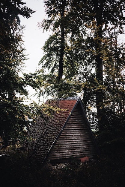 Klein huisje in het bos.