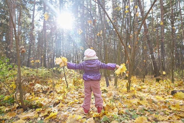 Foto klein kind staat met zijn rug naar de camera in een zonnig herfstbos met gele esdoornbladeren mensen achterin