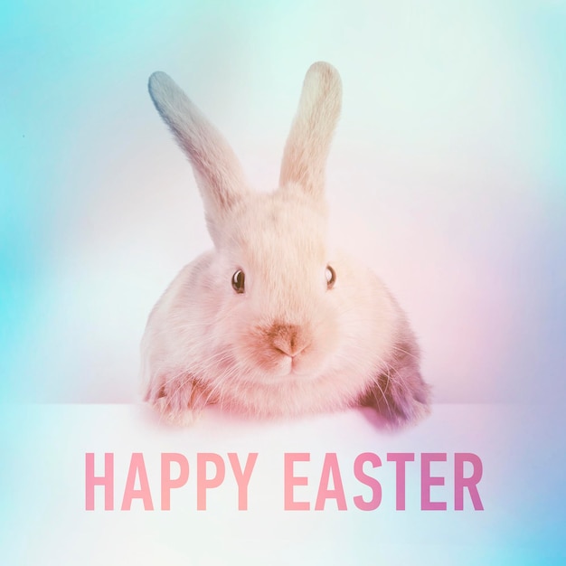 Klein konijntje met een bordje met de tekst Happy Easter Day instagram-stijl