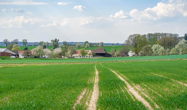 klein landelijk dorp