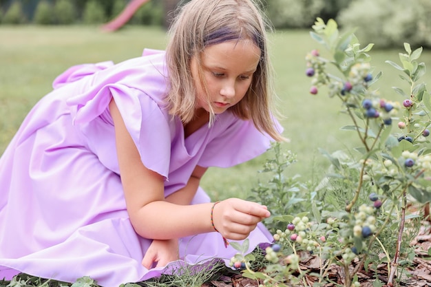 Klein meisje bosbessen plukken in de tuin