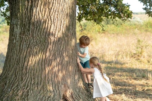 Klein meisje en jongen klimmen in een boom schattige kinderen op de grote oude boom op een zonnige dag kind klimmen in een boom