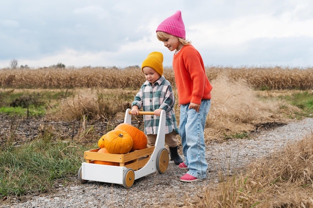 Klein meisje en jongen pompoenen plukken en spelen met houten wagen in pompoenveld