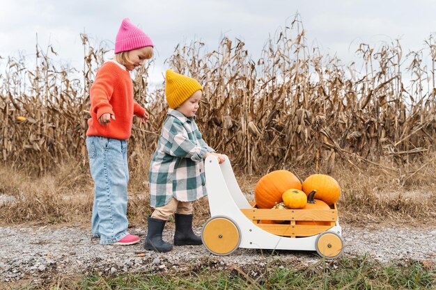 Klein meisje en jongen pompoenen plukken en spelen met houten wagen in pompoenveld