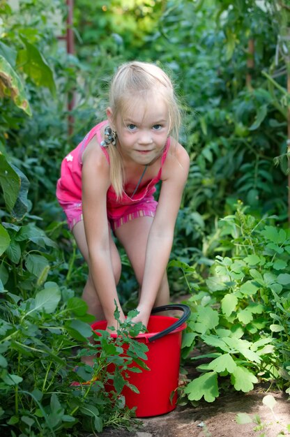 Foto klein meisje in een kas tomatenoogsten